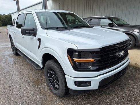 New 2025 Ford F150 XLT w/ Equipment Group 301A Standard image 19