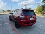 Used 2024 Toyota 4Runner SR5 image 6
