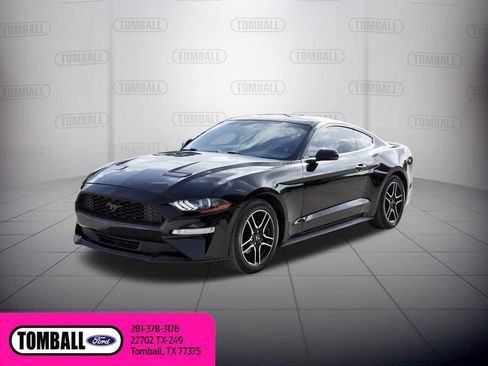 Used 2019 Ford Mustang Premium RWD image 3
