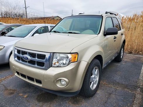 Used 2011 Ford Escape XLT w/ 201A Rapid Spec Order Code image 2