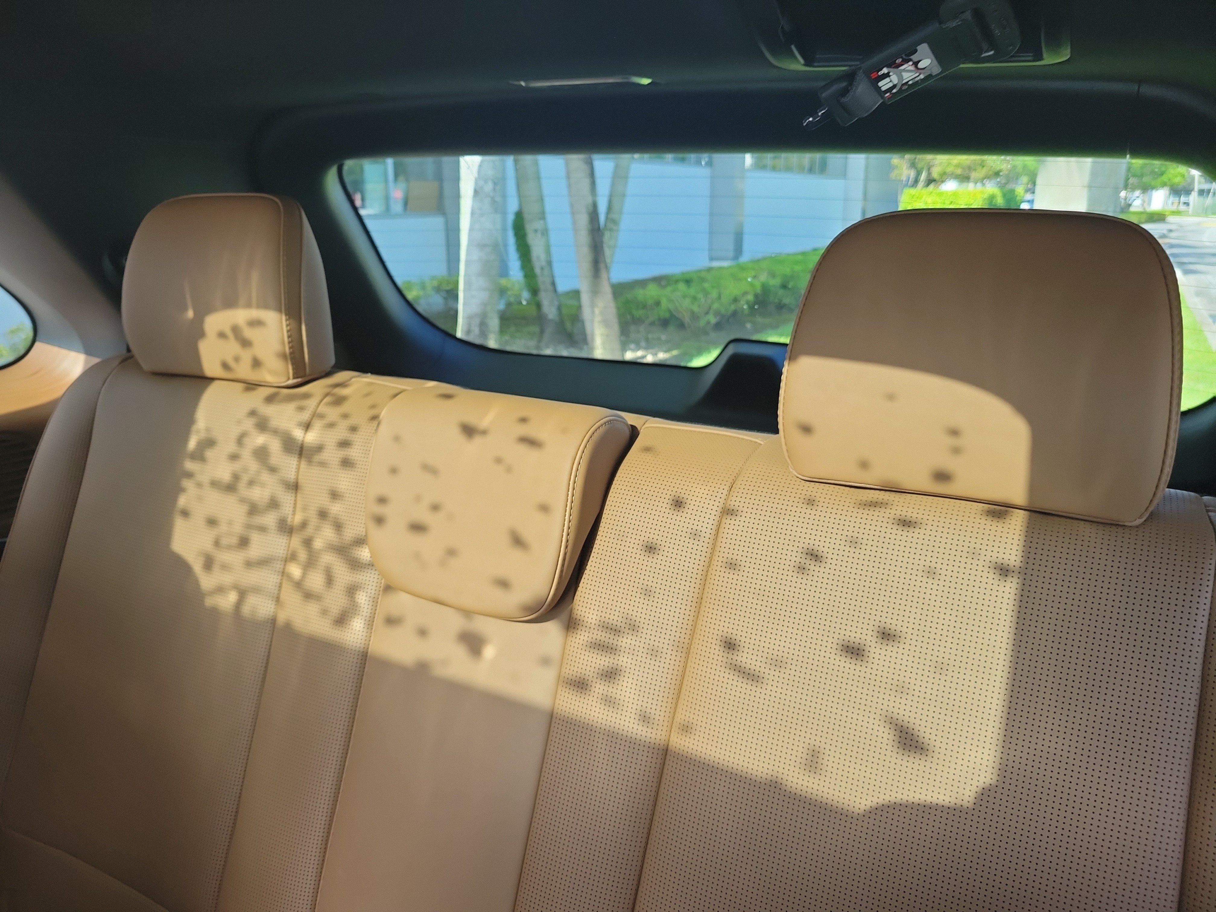 Used 2026 Hyundai Palisade Calligraphy FWD image 13