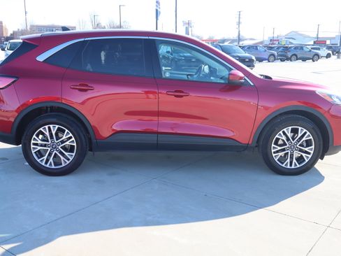 Used 2022 Ford Escape SEL image 5