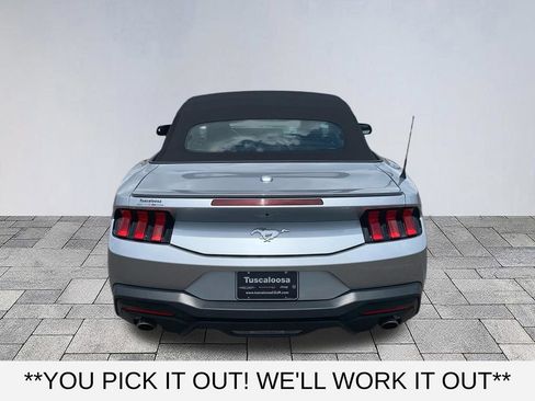 Used 2025 Ford Mustang Premium RWD image 6