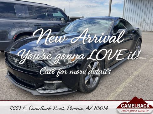 Used 2017 Ford Mustang Premium RWD image 1