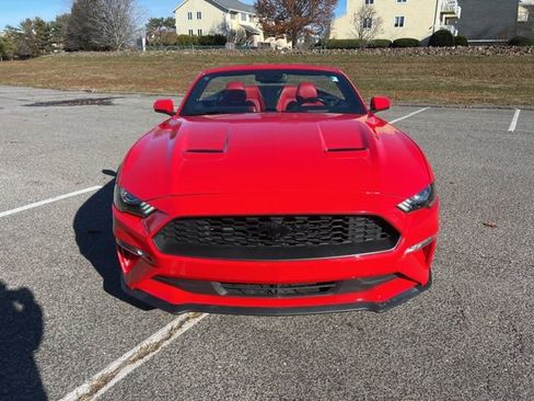 Certified 2019 Ford Mustang Premium w/ Equipment Group 201A image 14