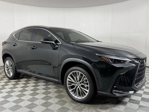 Used 2025 Lexus NX 350 AWD w/ Premium Package image 8