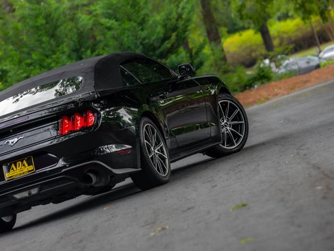 Used 2019 Ford Mustang Premium w/ Equipment Group 201A RWD image 31