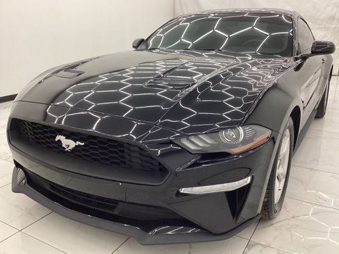 Used 2019 Ford Mustang Coupe image 1