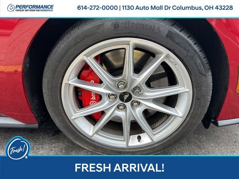 Used 2024 Ford Mustang GT Premium image 13