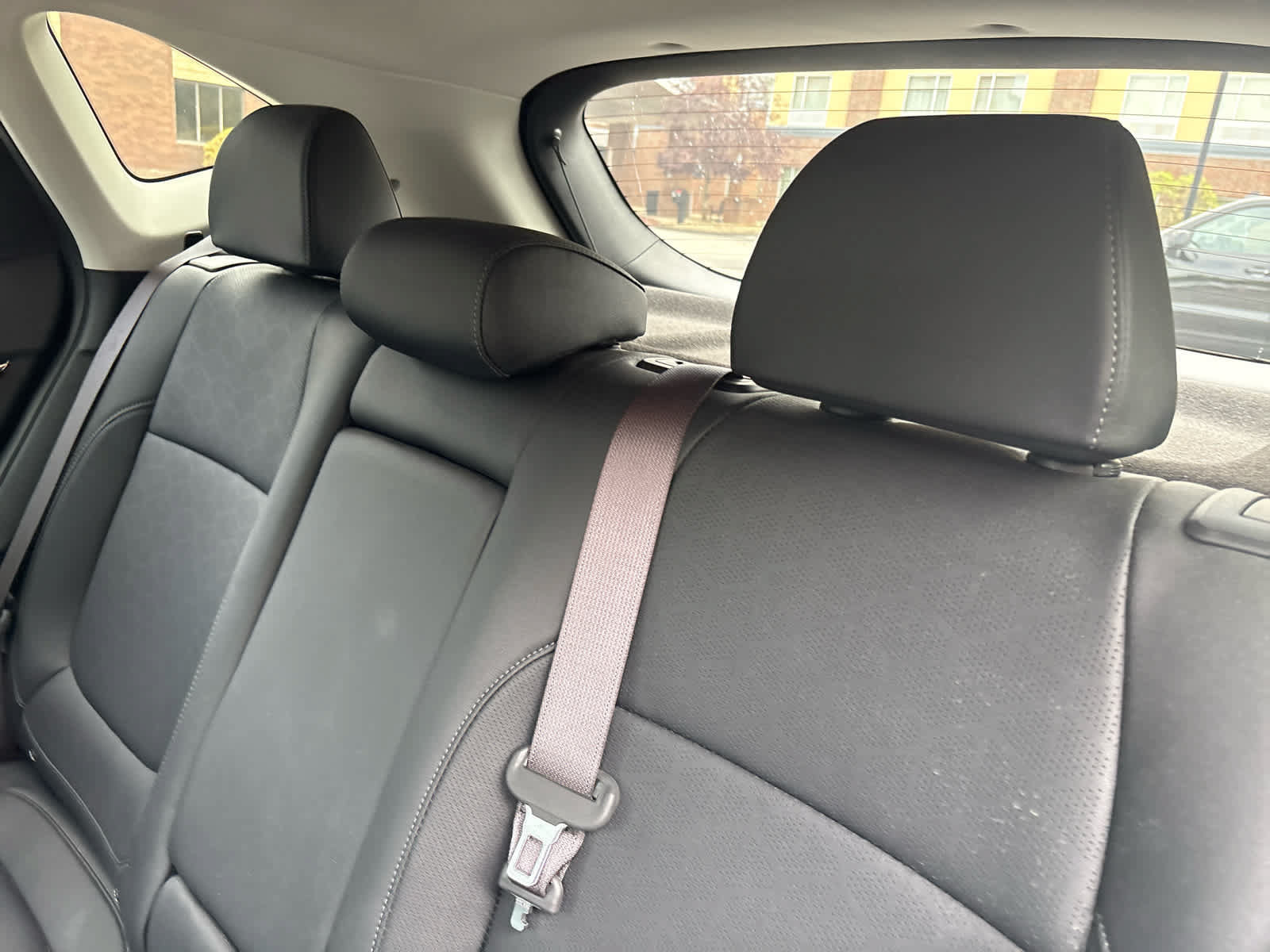 Used 2024 Kia Seltos SX w/ SX Sunroof Package AWD/4WD image 13