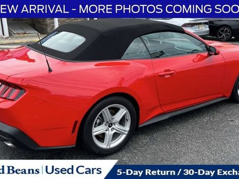 Used 2026 Ford Mustang Premium RWD image 3