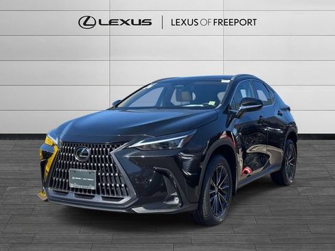 Certified 2024 Lexus NX 250 FWD w/ Cold Area Package image 3