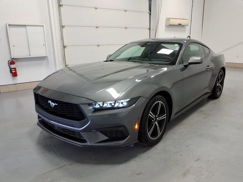 Used 2025 Ford Mustang Coupe RWD image 7