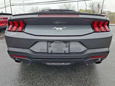 Used 2024 Ford Mustang Premium RWD image 5