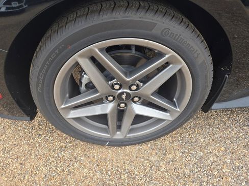 New 2025 Ford Mustang Ecoboost image 11