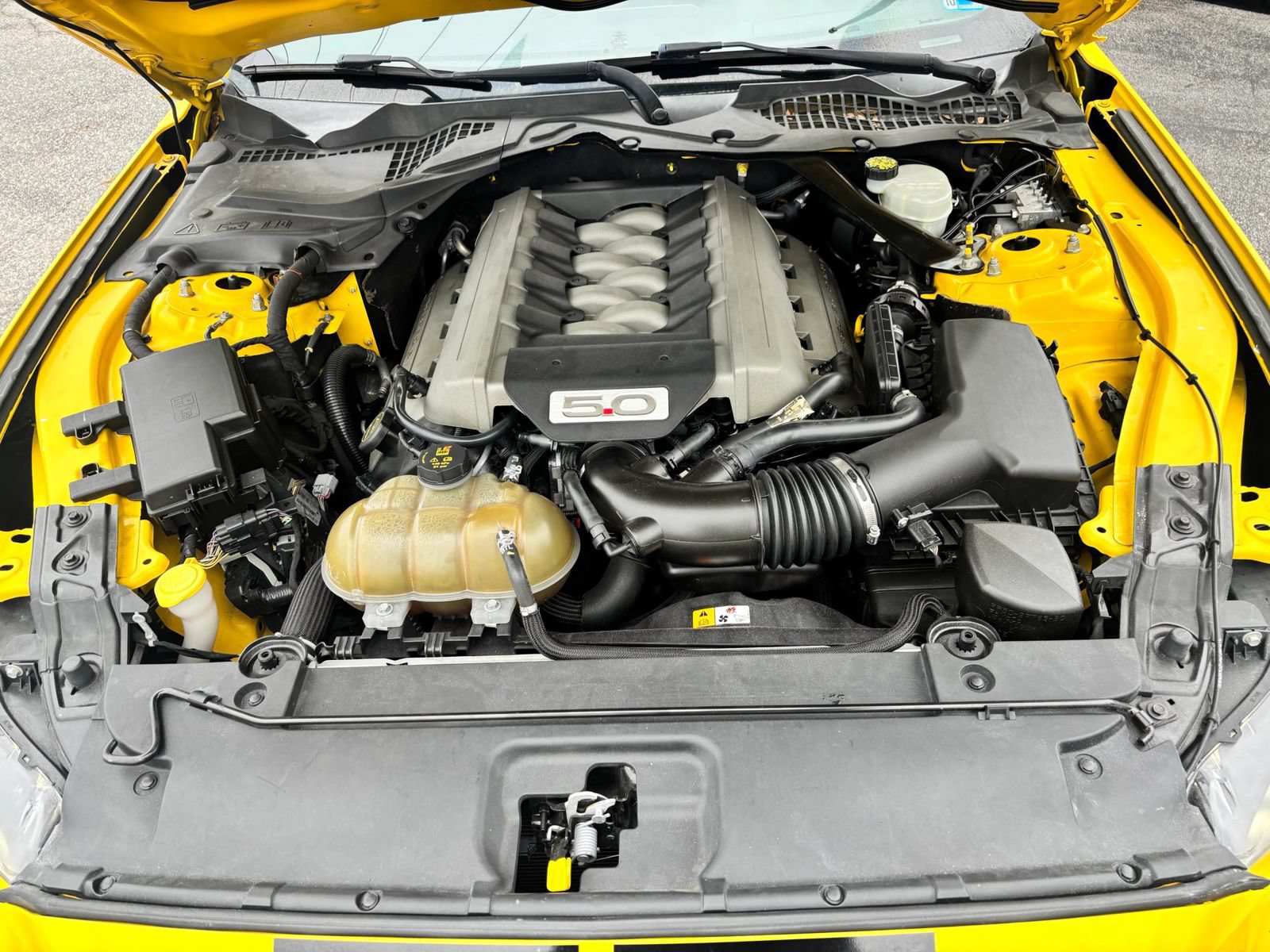 Used 2017 Ford Mustang GT w/ GT Performance Package RWD image 9