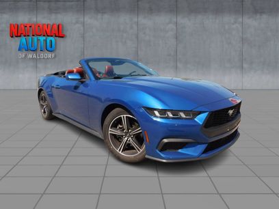 Used 2024 Ford Mustang Premium