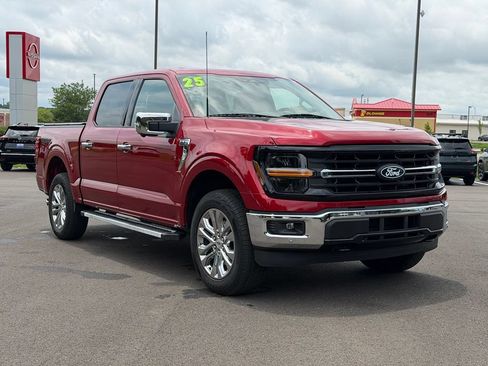 Used 2025 Ford F150 XLT w/ Equipment Group 303A High AWD/4WD image 1