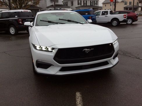 New 2026 Ford Mustang Premium image 3