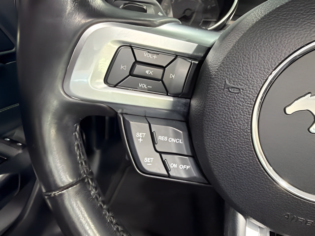 Used 2019 Ford Mustang Premium RWD image 20