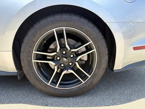 Used 2019 Ford Mustang Premium RWD image 22