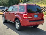 Used 2010 Ford Escape XLT image 3