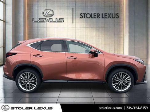 Used 2025 Lexus NX 350 AWD w/ Cold Area Package image 4
