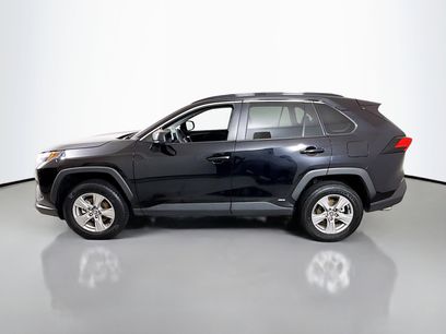 Used 2025 Toyota RAV4 LE