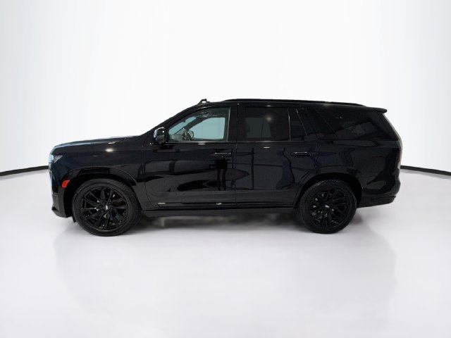 Used 2024 Cadillac Escalade Sport Platinum w/ LPO, ONYX Package AWD/4WD image 4