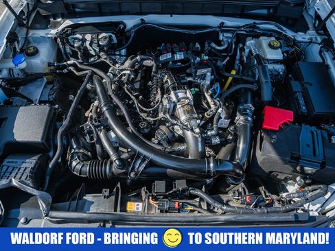 Used 2021 Ford Bronco Outer Banks w/ Sasquatch Package image 20