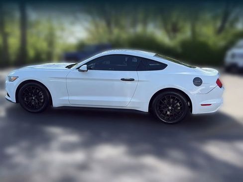 Used 2016 Ford Mustang Coupe w/ Equipment Group 051A image 3