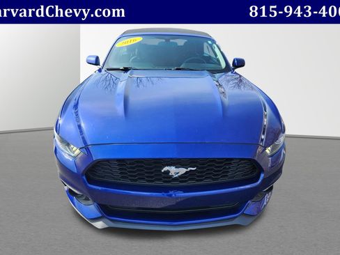 Used 2016 Ford Mustang Convertible w/ Equipment Group 051A image 2