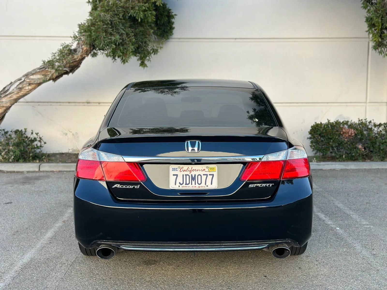 Used 2015 Honda Accord Sport image 8
