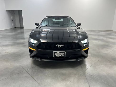 Used 2023 Ford Mustang Premium image 2