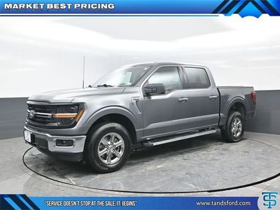 Used 2025 Ford F150 XLT w/ Equipment Group 301A Standard