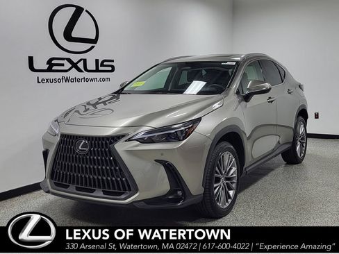 Certified 2025 Lexus NX 350 AWD w/ Premium Package image 1