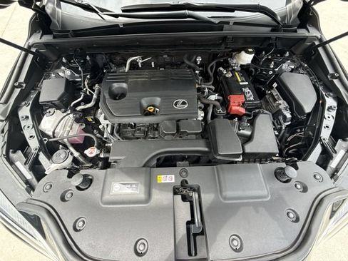 Certified 2024 Lexus NX 250 FWD w/ Cold Area Package image 28