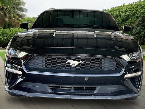 Used 2019 Ford Mustang Coupe RWD image 2