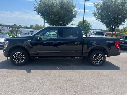 Used 2023 Ford F150 XLT w/ Equipment Group 302A High