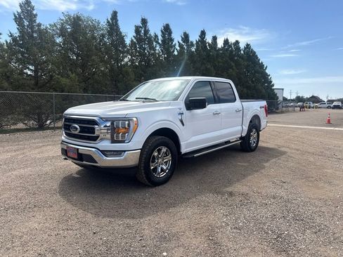 Used 2023 Ford F150 XLT w/ Equipment Group 302A High AWD/4WD image 2