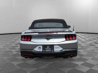 Used 2025 Ford Mustang Premium RWD video 4