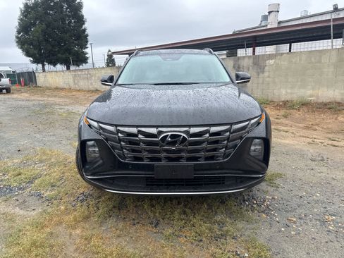 Used 2024 Hyundai Tucson Limited image 2