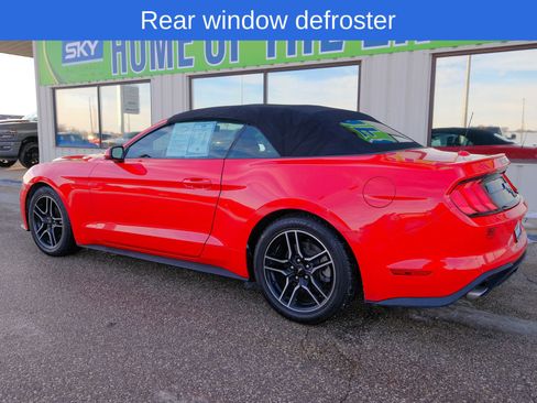 Used 2022 Ford Mustang Premium image 4