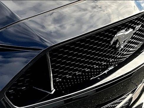 Used 2019 Ford Mustang GT Premium w/ Equipment Group 401A image 29