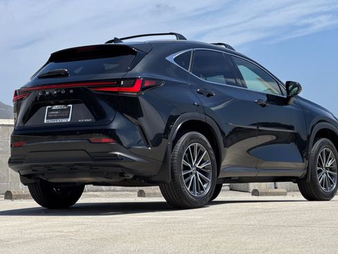 Certified 2024 Lexus NX 250 FWD w/ Cold Area Package image 8