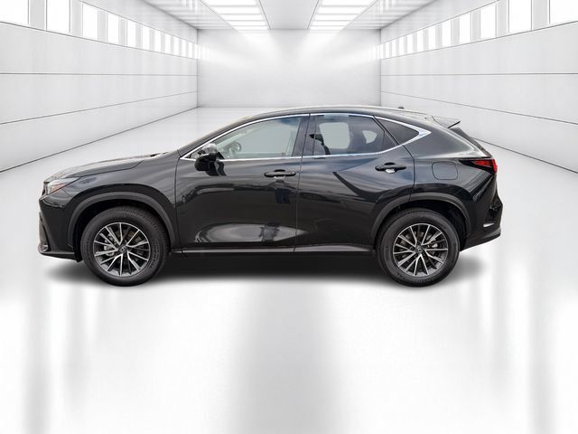 Certified 2024 Lexus NX 350h AWD w/ Vision Package image 10