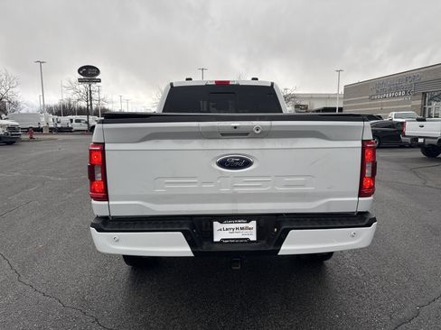 Used 2023 Ford F150 XLT w/ Equipment Group 302A High image 4