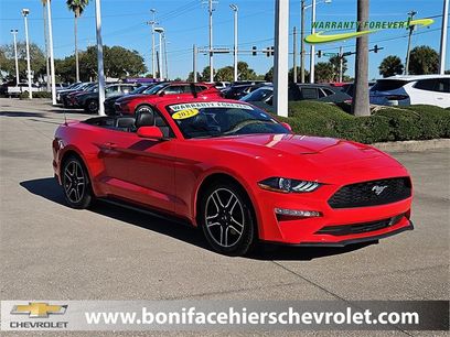 Used 2023 Ford Mustang Premium