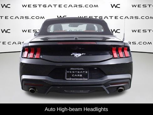 Used 2024 Ford Mustang Premium image 7