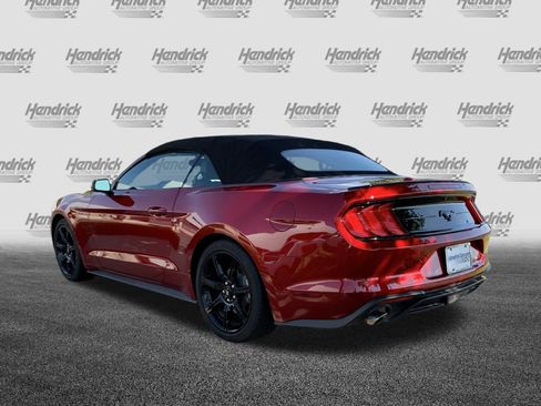 Used 2019 Ford Mustang Premium w/ Equipment Group 201A RWD image 8